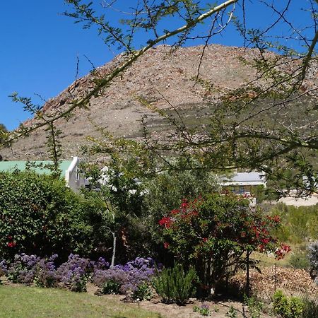 Villa White Lily Montagu Exterior foto
