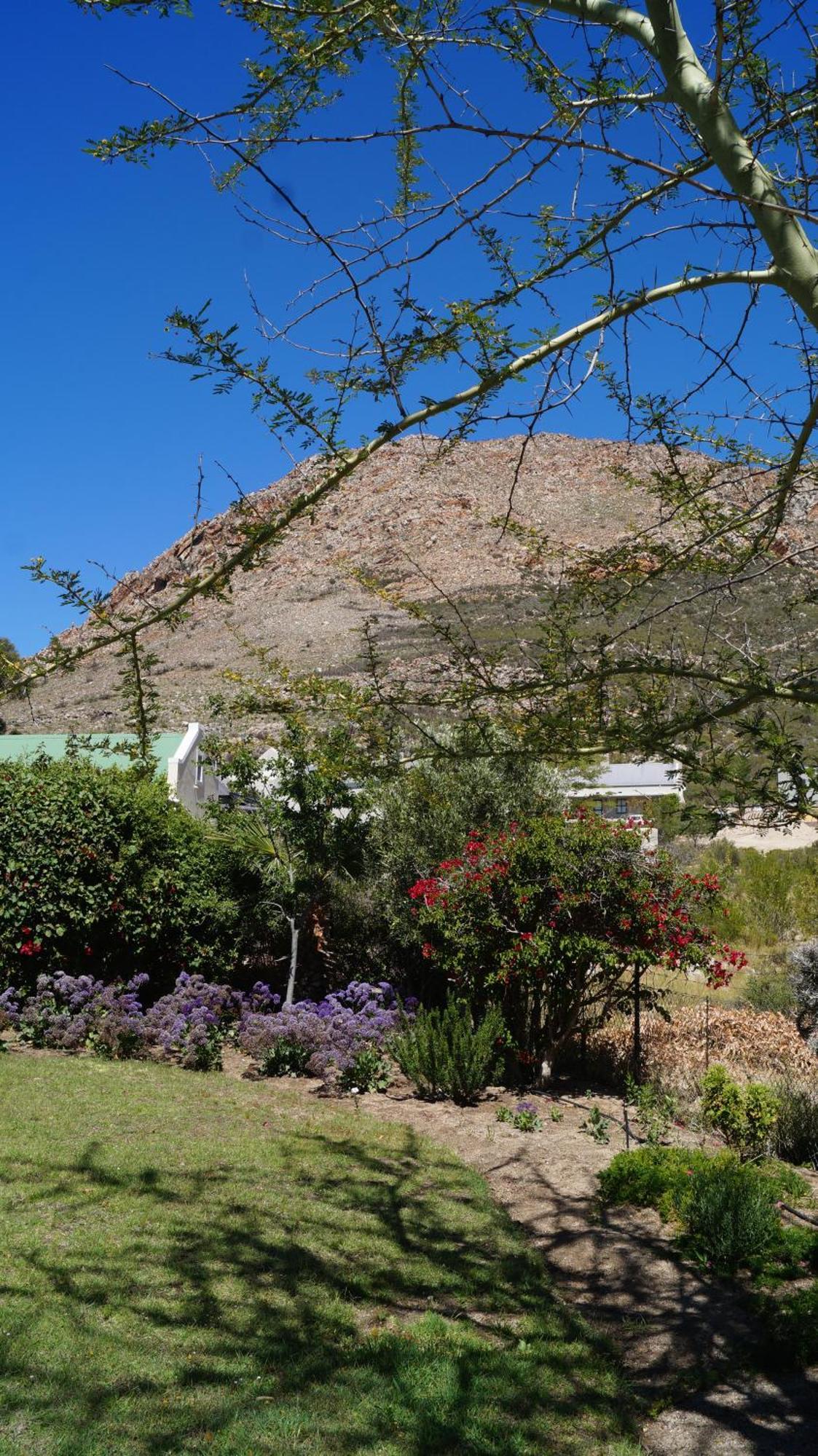 Villa White Lily Montagu Exterior foto
